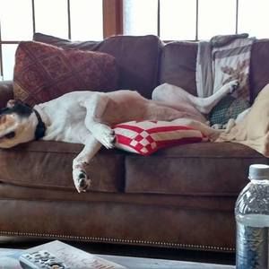 Meet your Posher, Becky